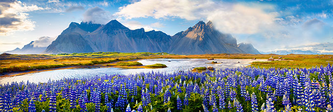 Stokksnes Iceland