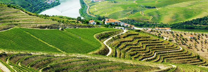 Portugal Fields