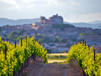 Small Group Tour: Culture and Wine in Châteauneuf du Pape Morning Tour