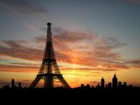 Lunch at Madame Brasserie in Eiffel Tower + Cruise + Paris City Tour AM