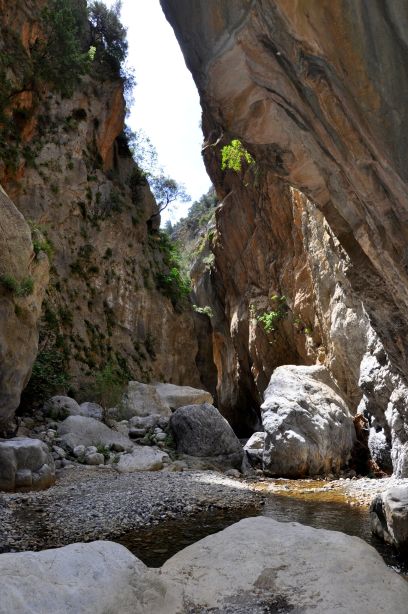 Private Tour: Sarakina Gorge and the Jewels of Southeast Crete