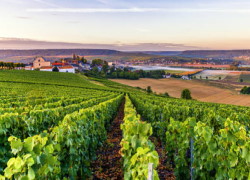 Shared Small Group: Champagne Tour from Paris - 7:00AM