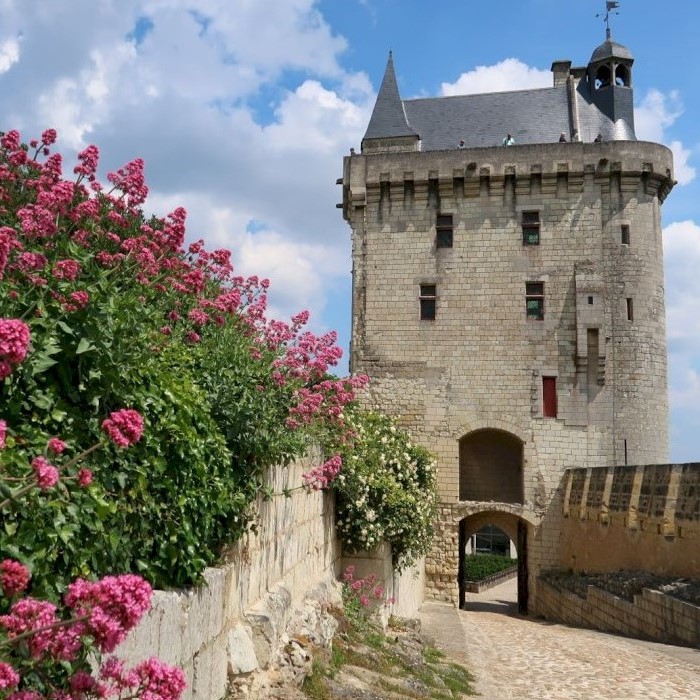 Small Group Tour: Loire Valley Wine Full Day Tour