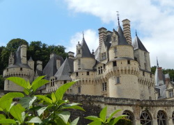 Private Full-Day Wine and Chateau Tour from Amboise 9AM