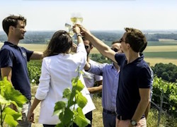 Shared Half Day: 2-Hour-Morning Champagne & Family Growers from Reims