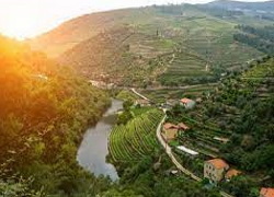 Private Full Day Douro Valley 4X4 Tour With Vineyard Visit and Port Wine Tasting