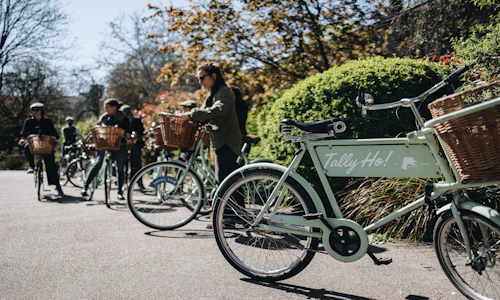 Private Group: Secret London Bike Tour