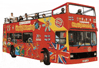 City Sightseeing Belfast Tour: 2 Days