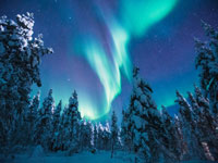 Shared Tour: Aurora Hunting with Reindeer Tour ** Non – Refundable**