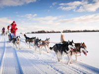 Shared Tour: Husky Safari 2-hour Morning Tour with Two People per Sled ** Non – Refundable**