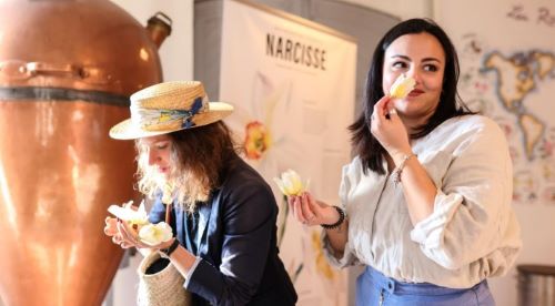 Shared Tour: Afternoon tour Grasse and Saint-Paul-de-Vence ***VENDOR VOUCHER***