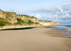 Shared Tour: All Day Guided Normandy D-Day Beaches Tour with Lunch, from Paris in Small Group