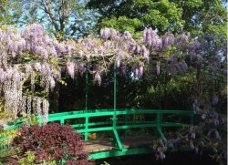 Shared Tour: All Day Guided Giverny and Versailles Tour with Lunch, from Paris in Small Group