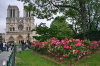 Private Best Day Ever in Paris Morning Walking Tour