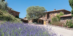 Private Tour: Private Tour: Provence Vineyard - Wine Tour (1 day)