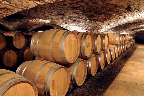 Private Tour: Indulge in Burgundy's Grands Crus: Private Wine Tour from Beaune