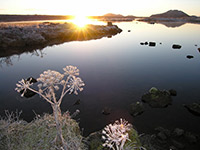 Shared Tour: South Iceland & Glacier Hike Adventure at 8:00 AM