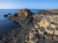 Shared Tour: Giants Causeway, Dunluce Castle and Dark Hedges from Belfast