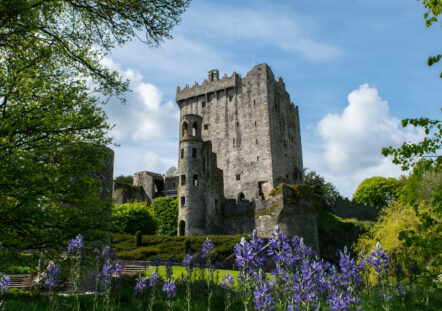 Admission: Blarney Castle & Gardens