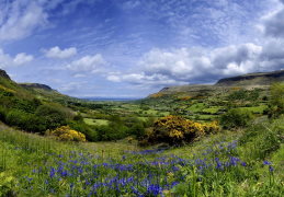 Shared Tour: Giants Causeway, Dunluce, Dark Hedges, and Titanic Experience from Belfast