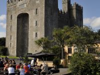 Bunratty Castle & Folk Park