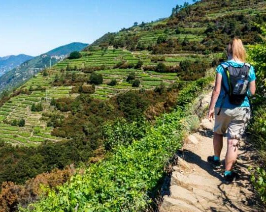 Private Full Day Cinque Terre Hiking & Wine Tour