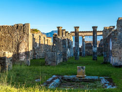 Private Morning Half Day Pompeii Tour with Guide in Pompeii from Positano