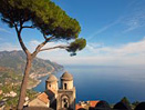 Shared Tours: Ischia & Mortella Gardens Tour from Sorrento