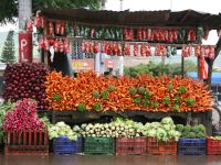 Small Group Shopping at the Market & Cooking Class with Lunch in Florence