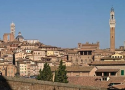 Private Walking Tour of Siena from Siena 2:00 PM