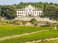 Private Greve and Radda in Chianti Tour with Lunch in a Charming Castle