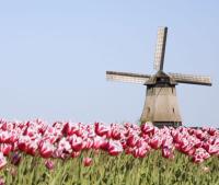 Private Full Day Grand Holland Tour (8 hours)