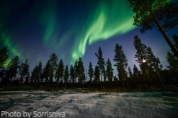 Private Tour: Hunting the Northern Light in the Arctic Autumn at 8:00 PM