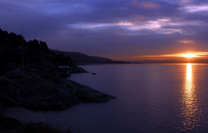 Shared Tour: Norwegian Evening On The Fjord 7:00PM