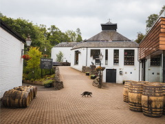 Shared Tour: Whisky and Waterfalls Day Tour from Edinburgh including distillery entry at 8:15 AM**VENDOR VOUCHER**