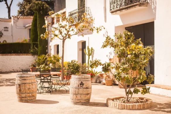 Private Wine, Tapas & Cava with lunch from Barcelona