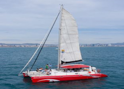 Shared tour: Catamaran Sailing and Ecological Wine Tasting