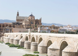 Shared Tour: Full Day Cordoba Tour from Seville