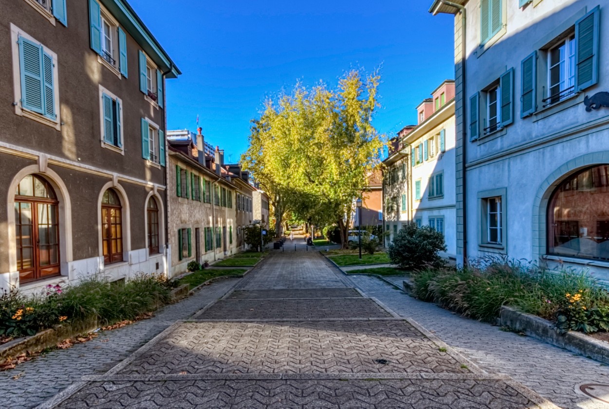 Discover Carouge: Private Sardinian District Tour in Geneva