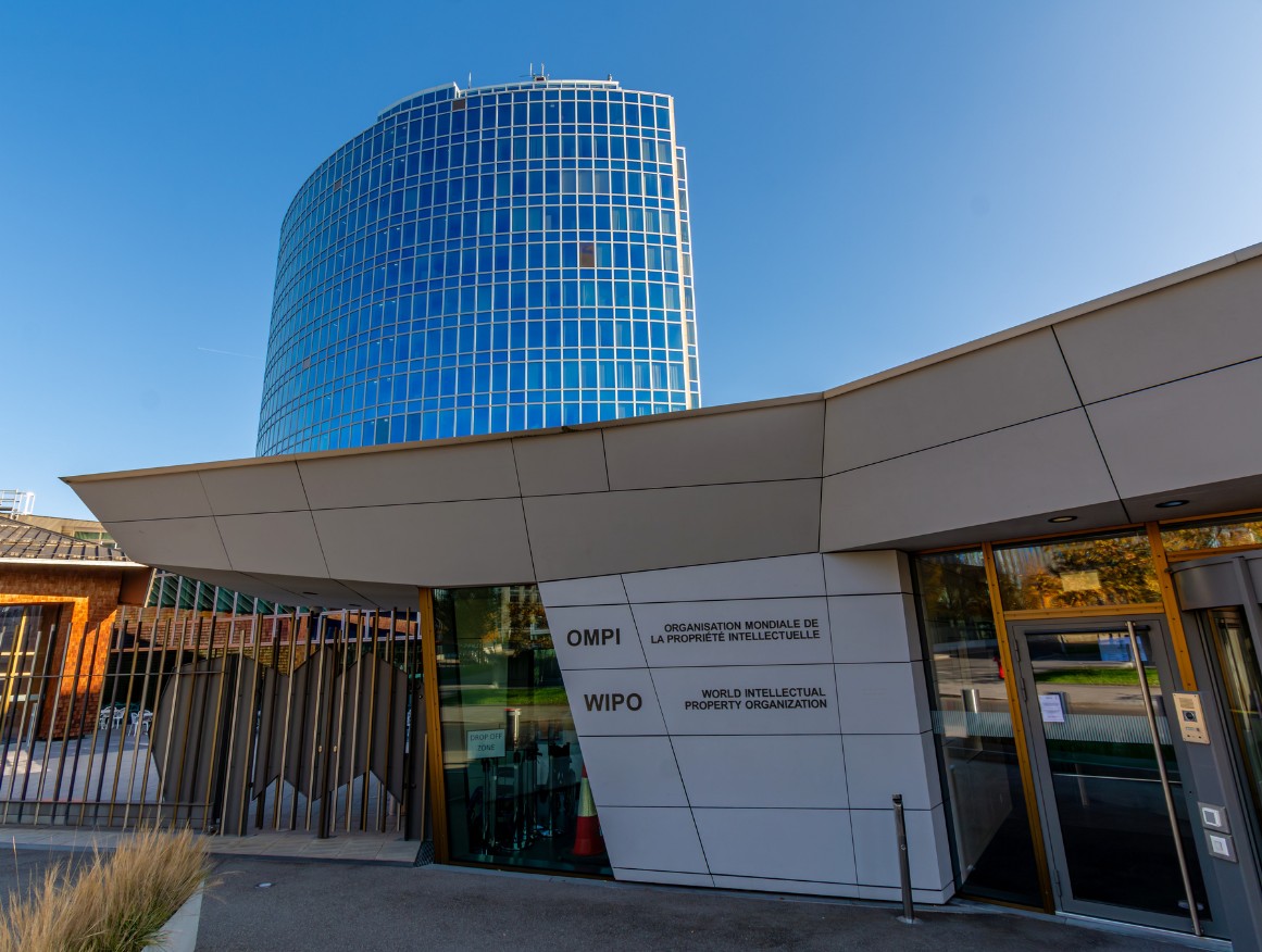 United Nations and Red Cross: Private Humanitarian Tour in Geneva