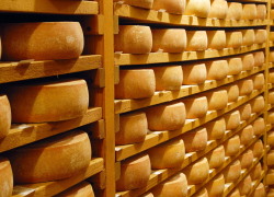 Private Cheesemaking and Mount Titlis in the heart of Alps Tour