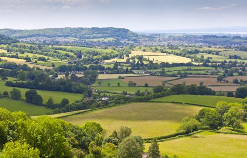 Cotswolds Charm: Private Countryside Tour &amp; Lunch with the Owners, including Hotel Transfers **Non - Refundable**