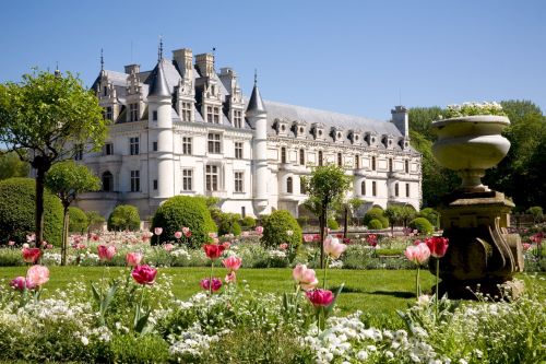 Private Tour: Chenonceau Castle Visit from Tours: An Intimate Exploration