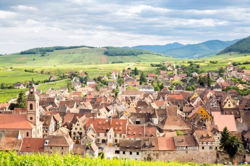 Small Group Tour: Alsace Vineyards Wine Tasting Tour from Strasbourg