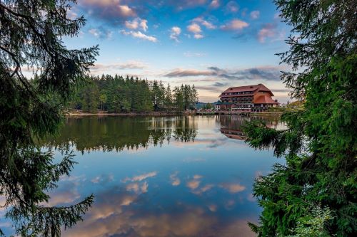 Small Group Tour: Strasbourg to Baden-Baden Tour: Discover Germany's Black Forest Beauty