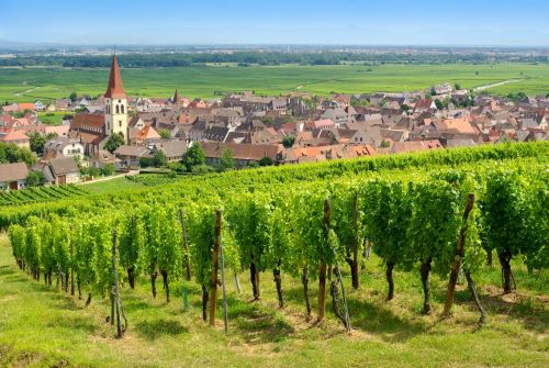 Private Tour: Taste of Alsace: A Full Day Wines & Villages Private Tour from Strasbourg