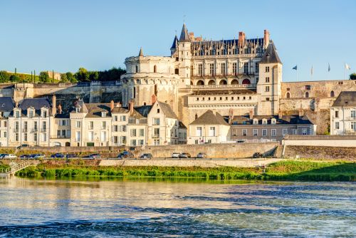 Private Tour: Loire Castles at Christmas Private Tour