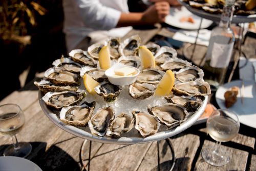 Private Tour: Bordeaux Escape: Explore Arcachon Bay with Oyster tasting
