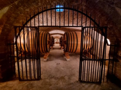 Private Tour: Rhône Wine Discovery: Châteauneuf-du-Pape and Cotes du Rhone from Aix-en-Provence (1 day)