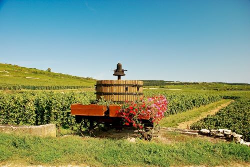 Private Tour: Discover Côte de Beaune Wines: Private Day Tour from Beaune